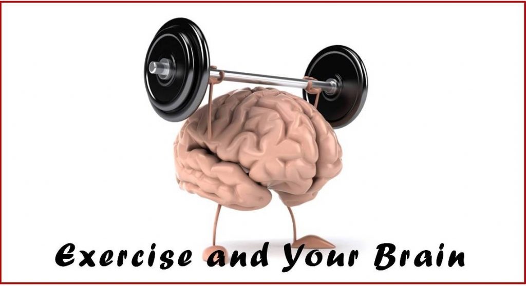 Brain_Exercise_4